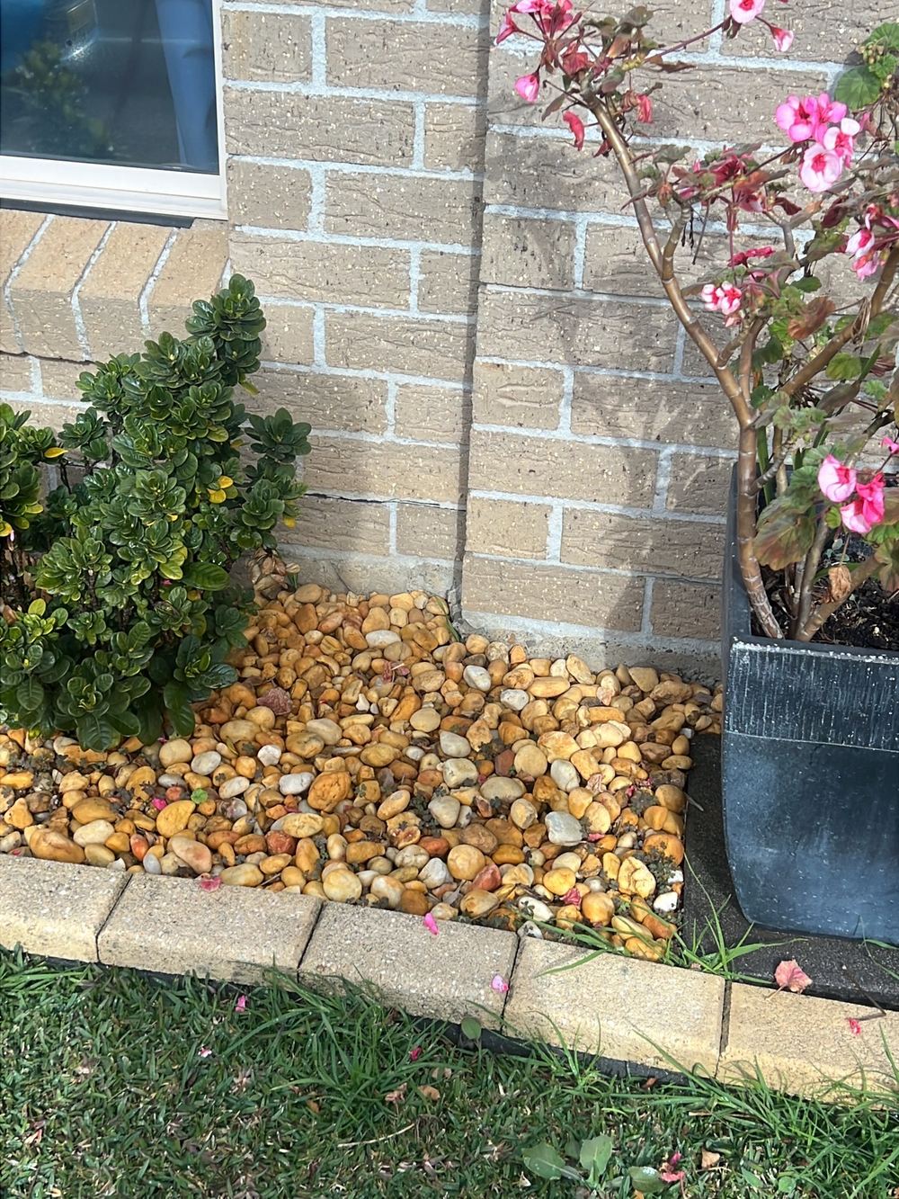 Cladding too close to the soil, inviting damp and hidden termite entry, found during a building and pest inspection in Stanhope Gardens