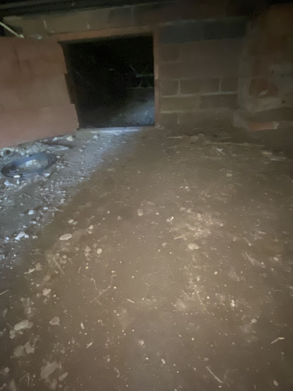 Damp subfloor with raised moisture readings and staining, Winston Hills, Rouse Hill