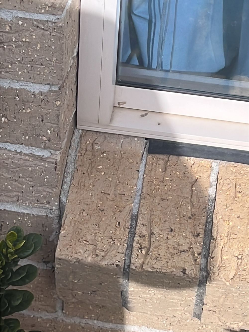 Window flashing missing or displaced, letting rain into the cavity, found during a building and pest inspection in Stanhope Gardens